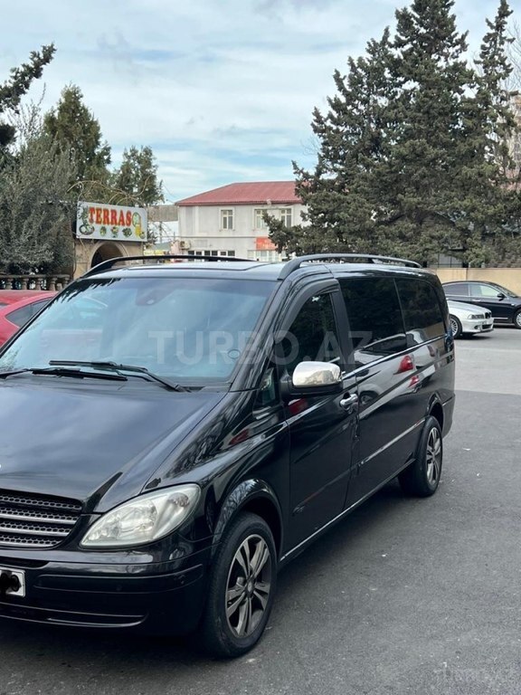 Mercedes Viano