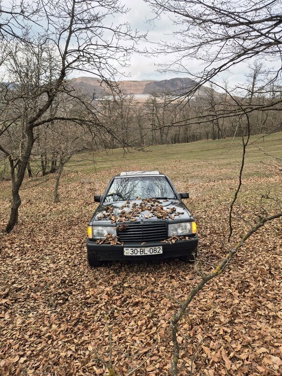 Mercedes 190