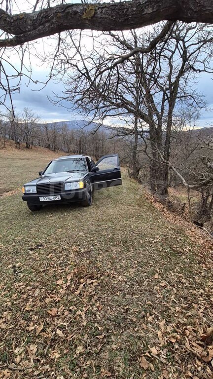 Mercedes 190