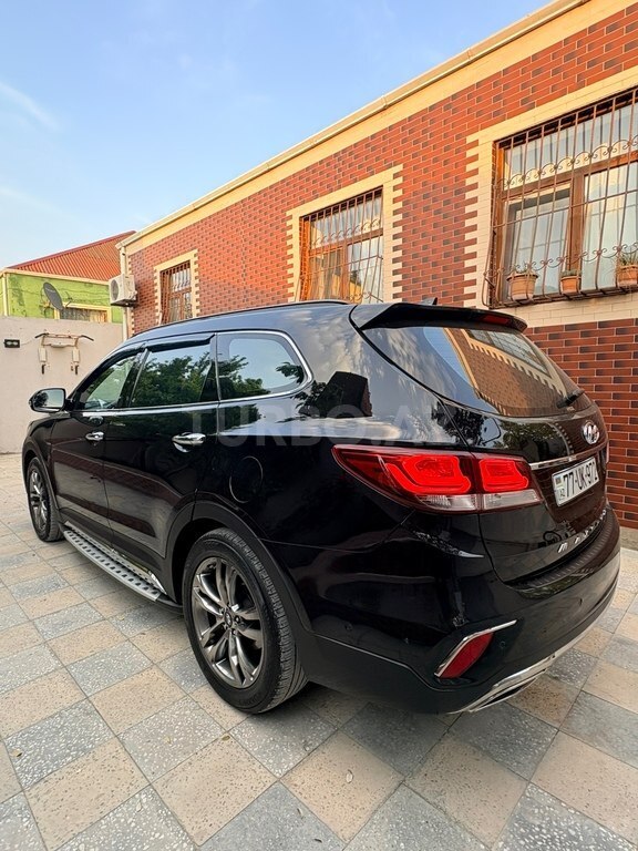 Hyundai Maxcruz