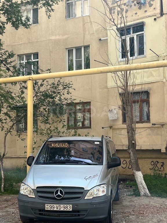 Mercedes Viano