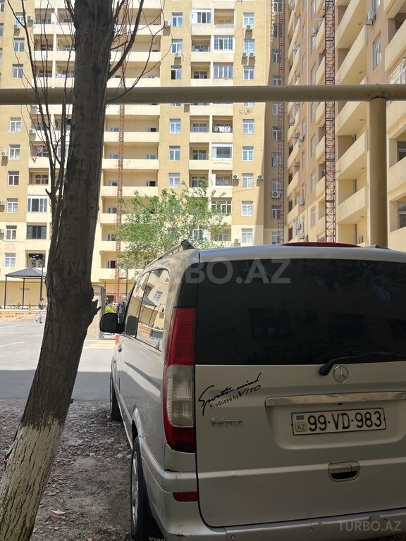 Mercedes Viano
