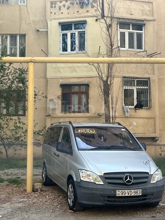 Mercedes Viano