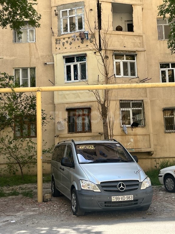 Mercedes Viano