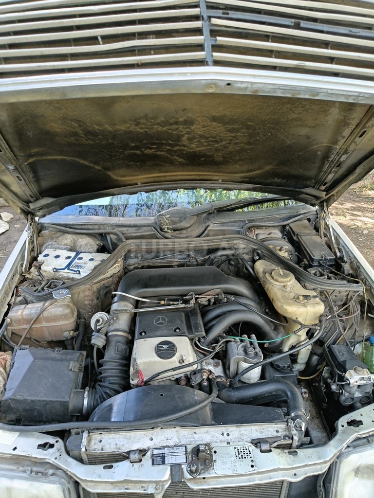Mercedes 250 D