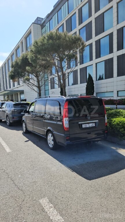 Mercedes Viano