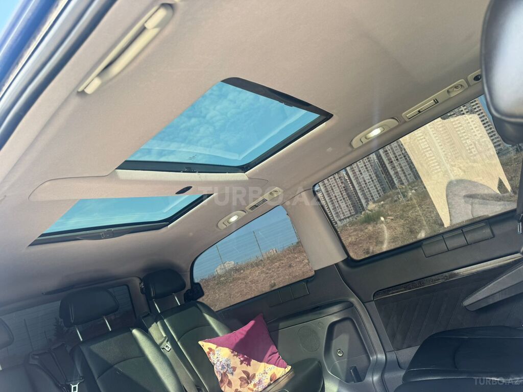 Mercedes Viano