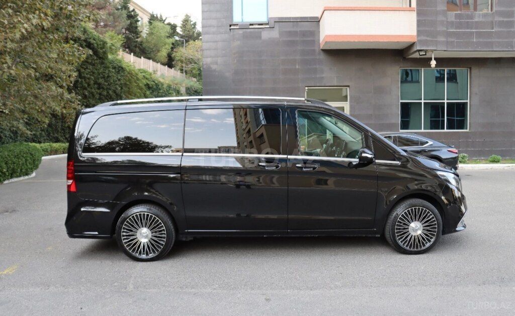 Mercedes Viano