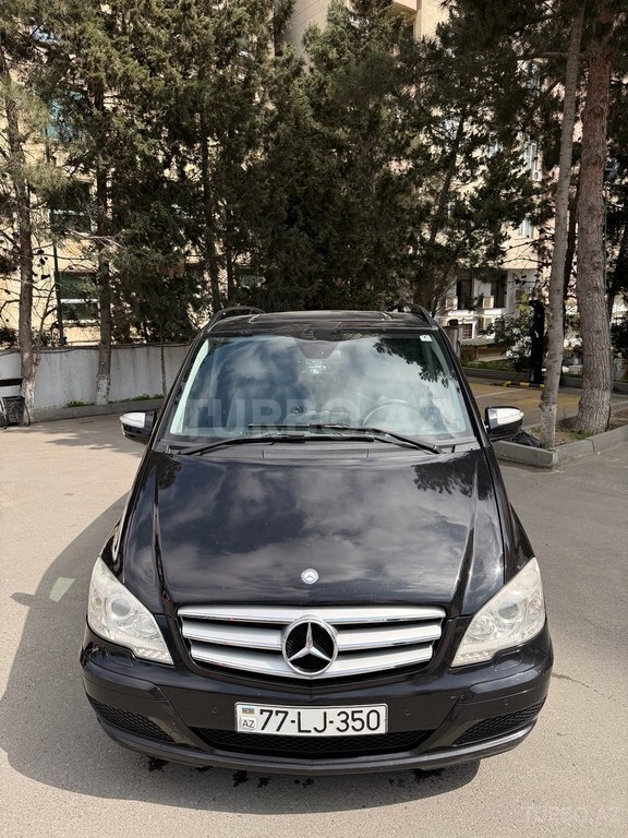 Mercedes Viano