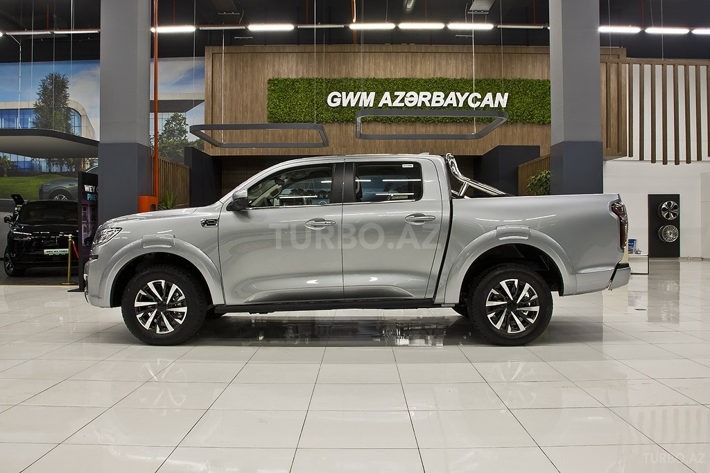 GWM (Great Wall Motor) Poer