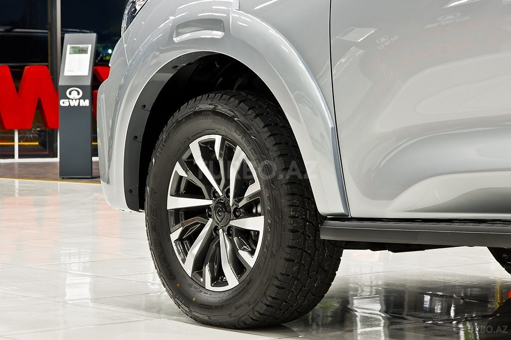 GWM (Great Wall Motor) Poer