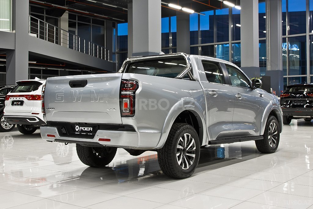 GWM (Great Wall Motor) Poer