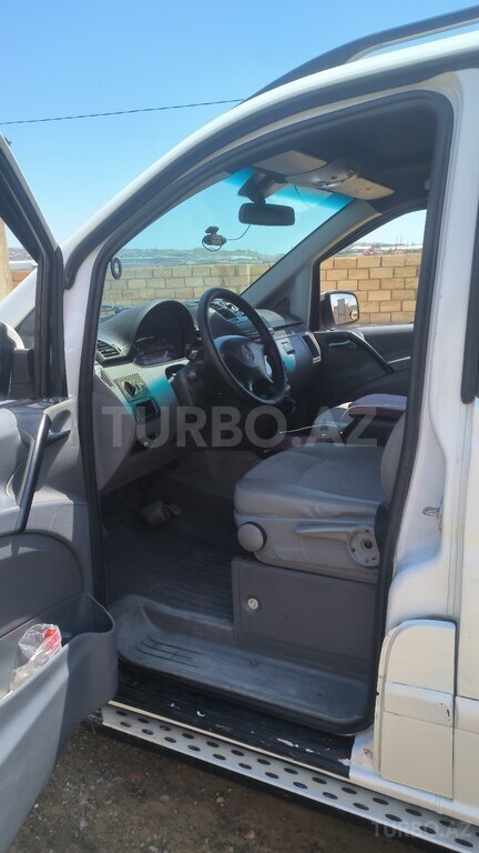 Mercedes Viano