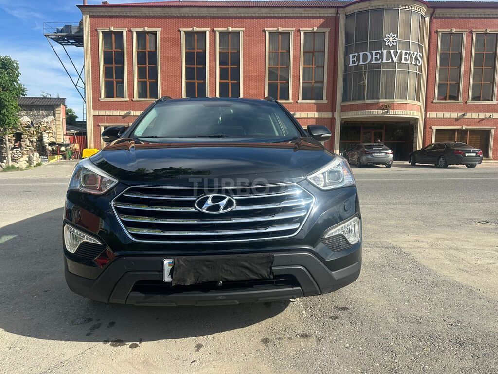 Hyundai Maxcruz