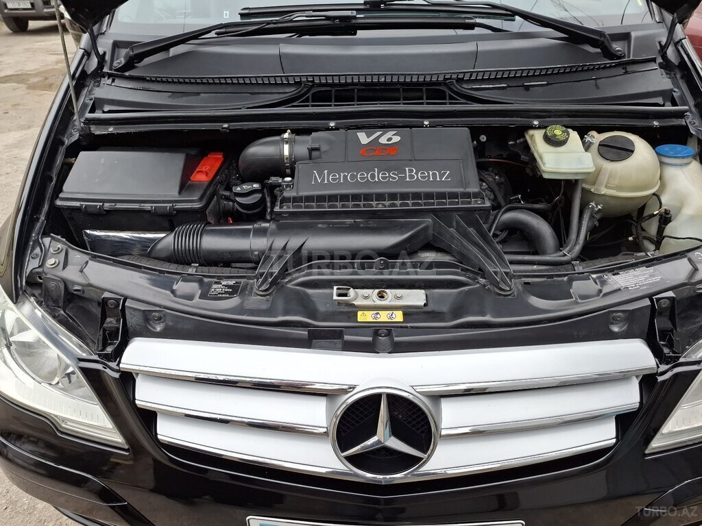Mercedes Viano