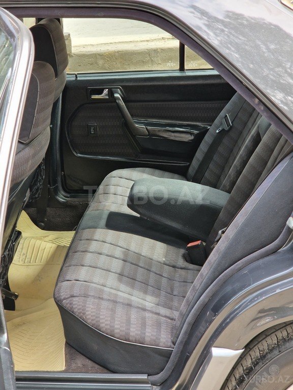 Mercedes 190