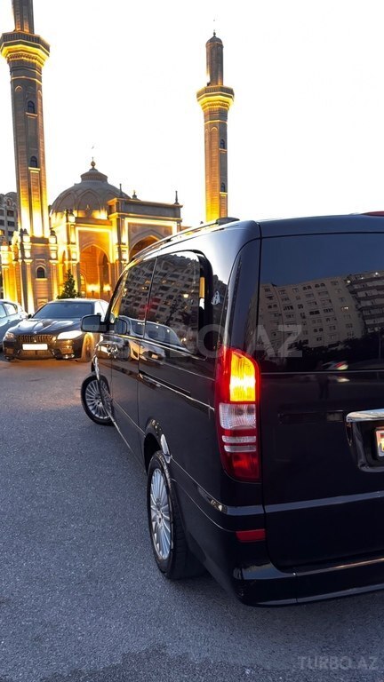 Mercedes Viano