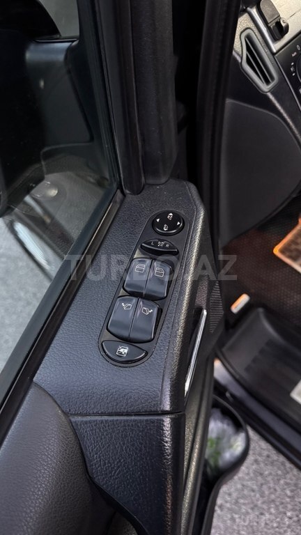 Mercedes Viano