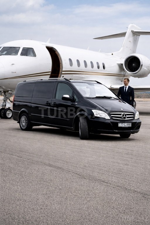 Mercedes Viano