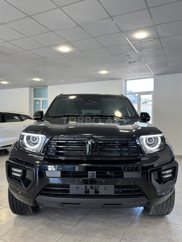 GWM (Great Wall Motor) Tank 300