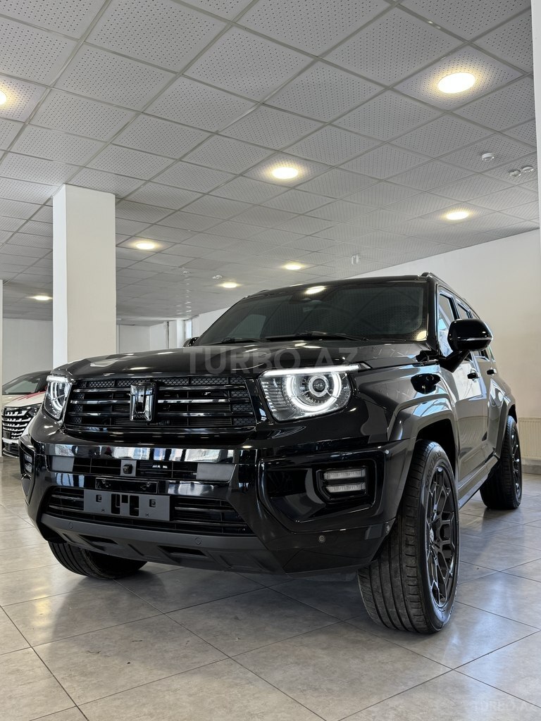 GWM (Great Wall Motor) Tank 300