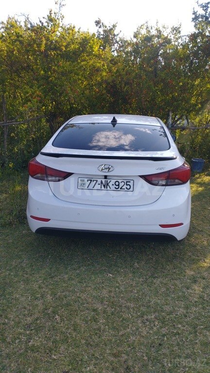 Hyundai Avante