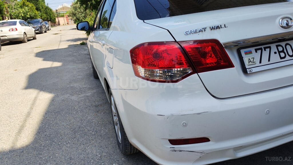 GWM (Great Wall Motor) Voleex C30