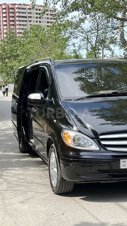 Mercedes Viano