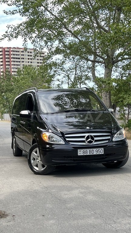 Mercedes Viano