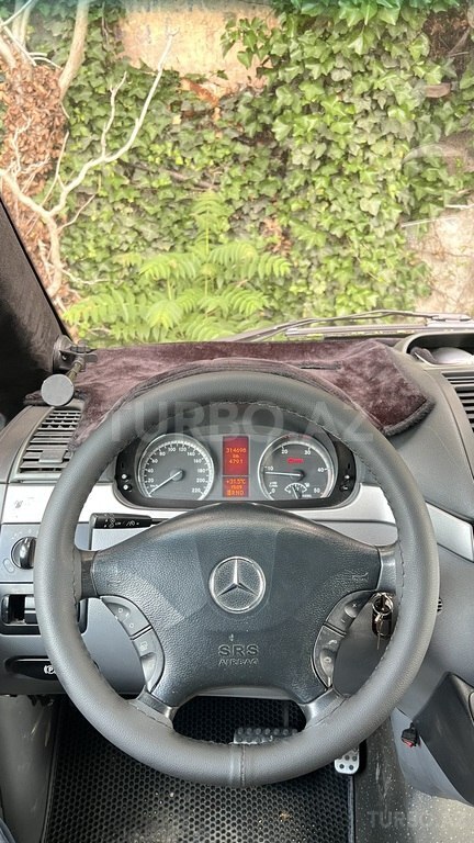 Mercedes Viano