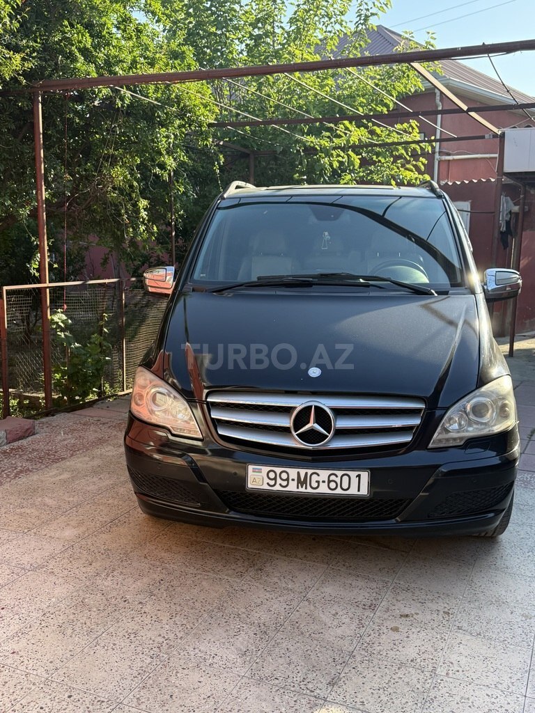 Mercedes Viano