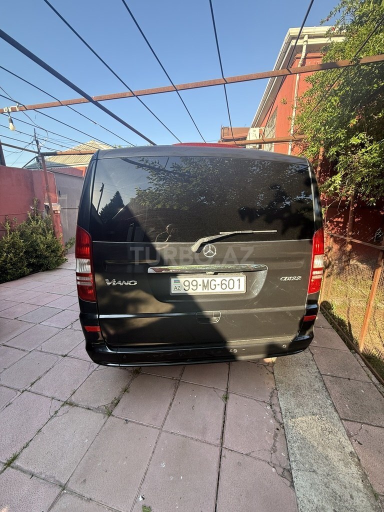 Mercedes Viano