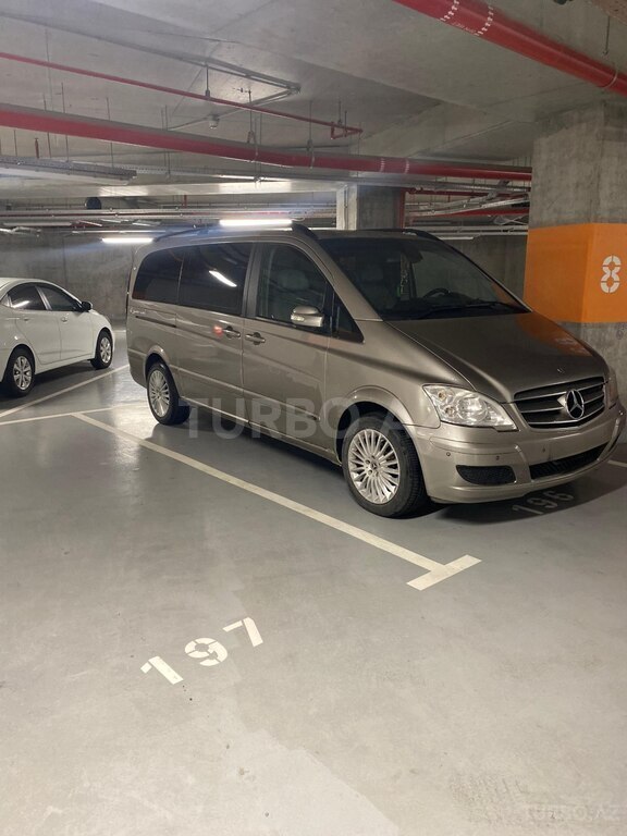 Mercedes Viano