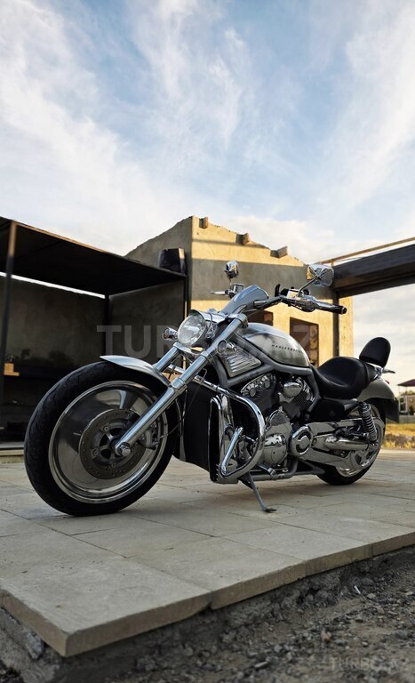Harley-Davidson V Rod Muscle