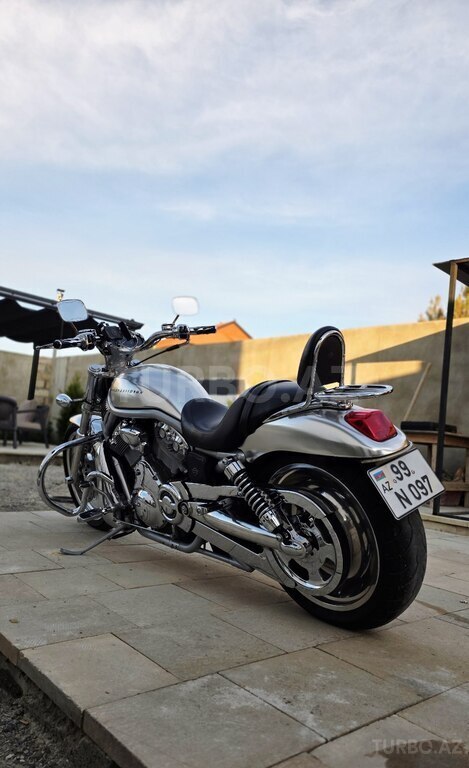 Harley-Davidson V Rod Muscle