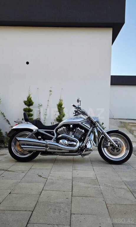 Harley-Davidson V Rod Muscle
