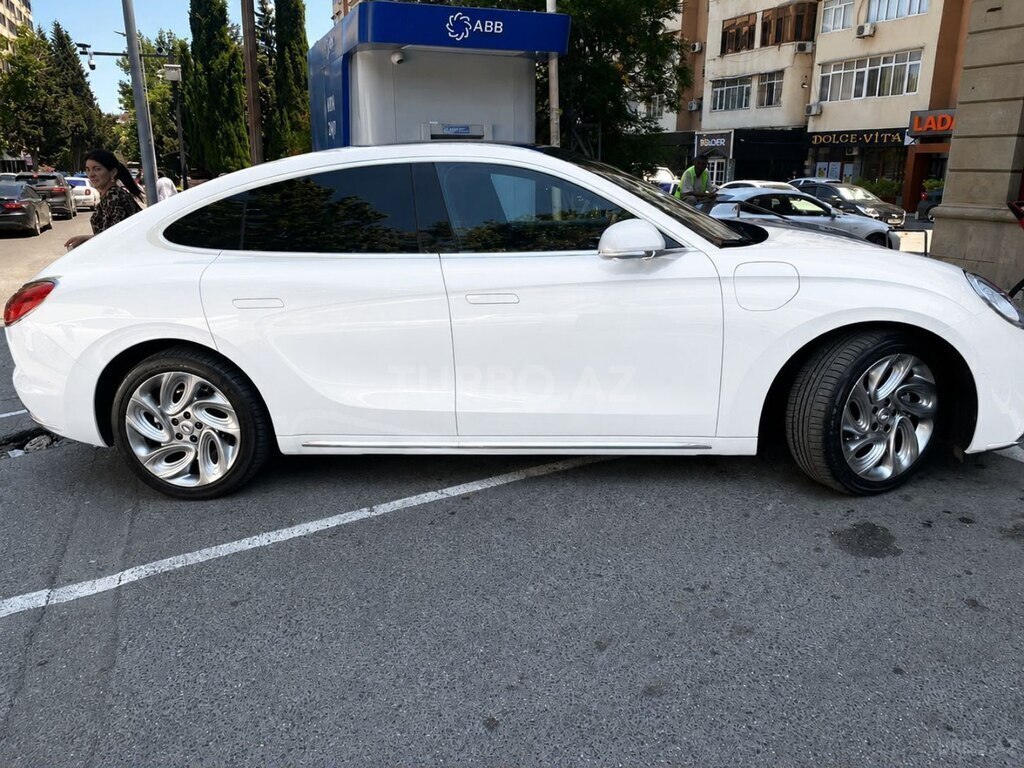 GWM (Great Wall Motor) ORA Lightning Cat