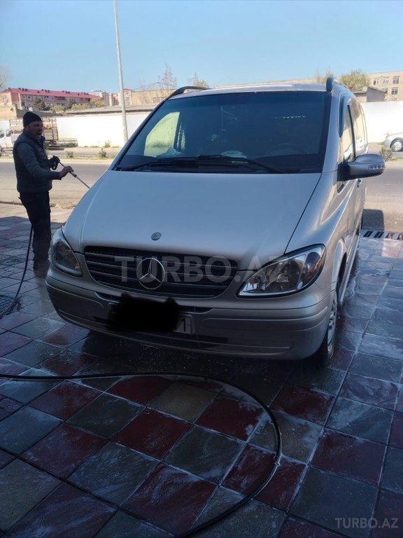 Mercedes Viano
