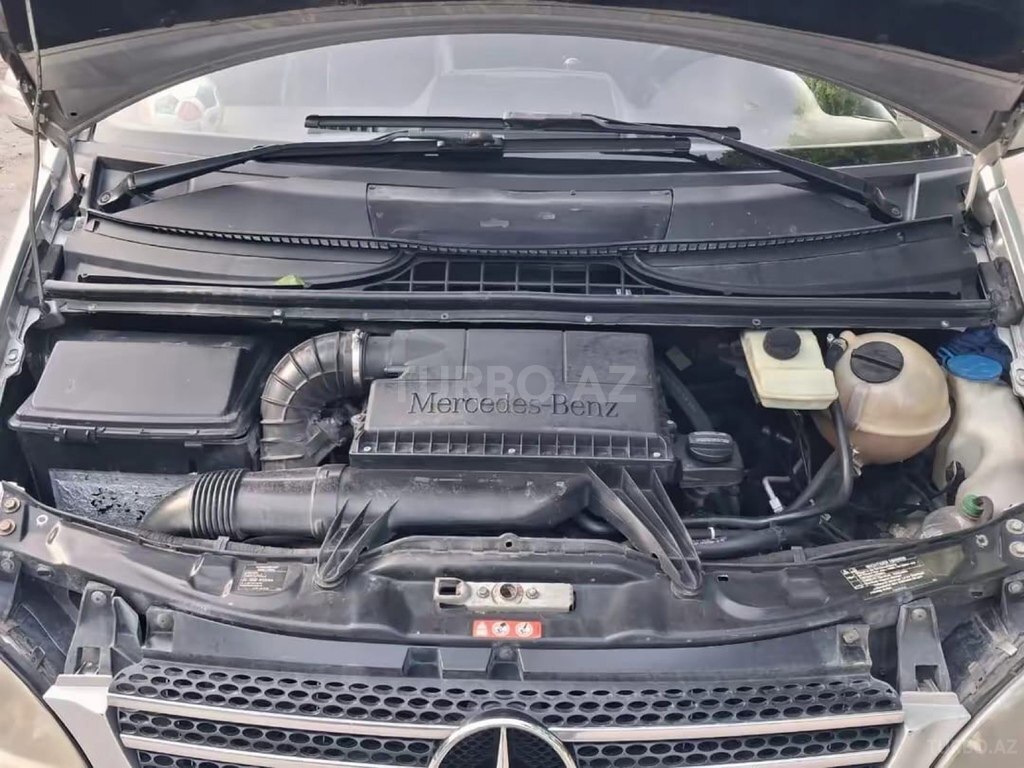 Mercedes Viano