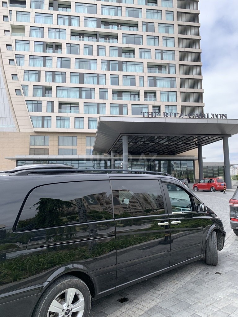 Mercedes Viano
