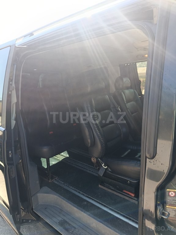 Mercedes Viano