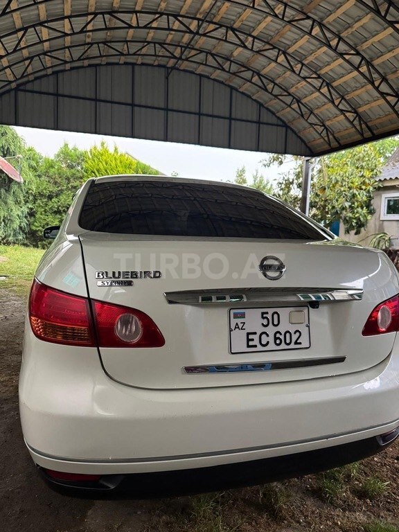Nissan Bluebird Sylphy