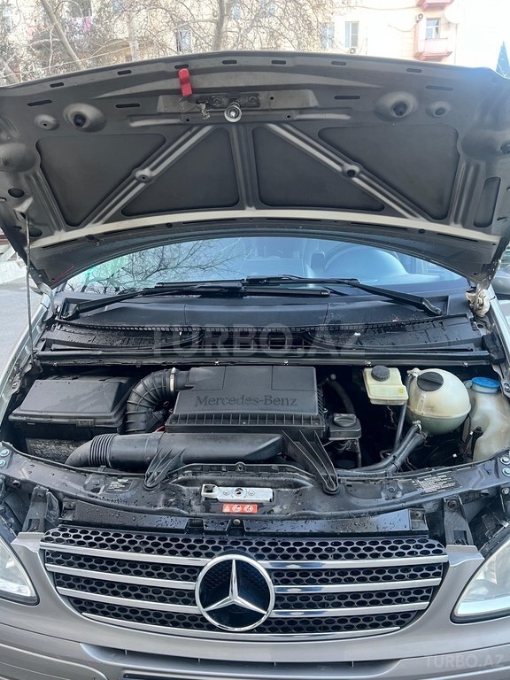 Mercedes Viano