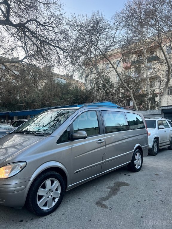 Mercedes Viano