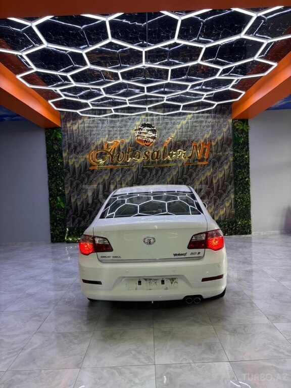 GWM (Great Wall Motor) Voleex C50