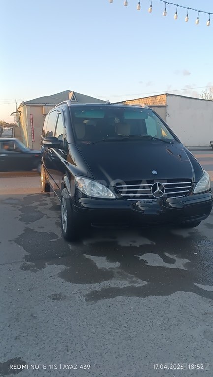 Mercedes Viano