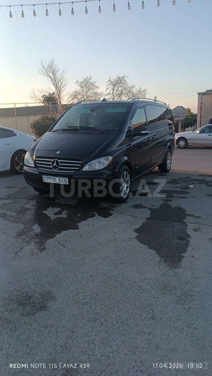 Mercedes Viano