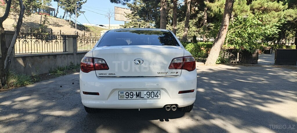 GWM (Great Wall Motor) Voleex C50