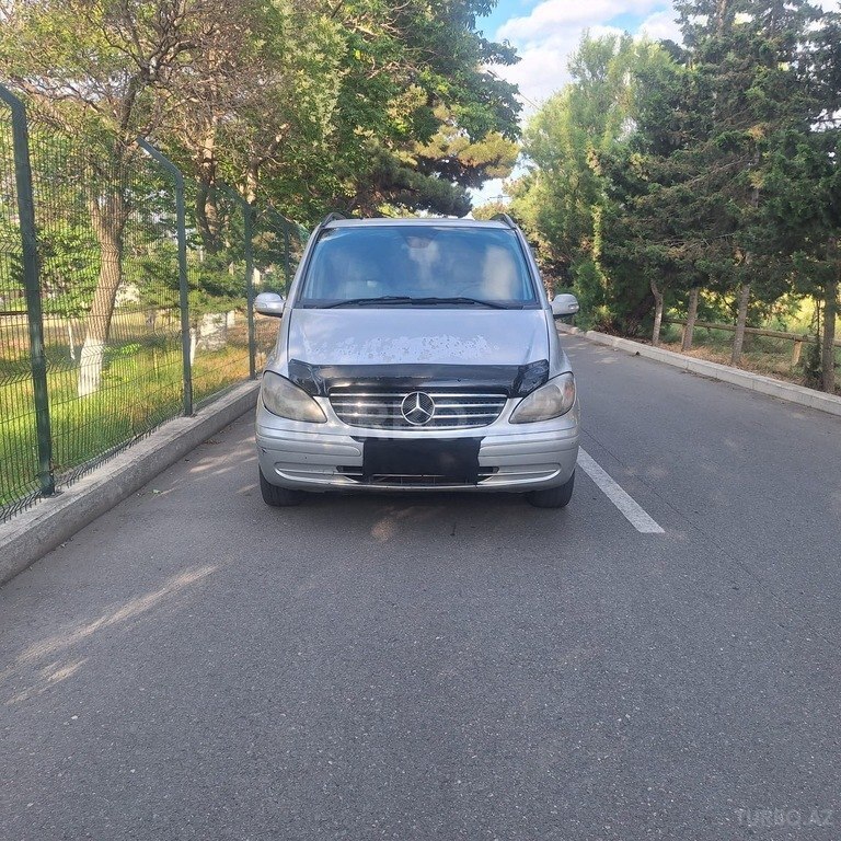 Mercedes Viano