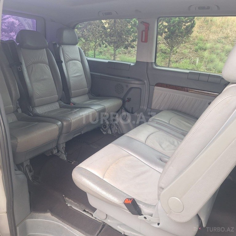Mercedes Viano